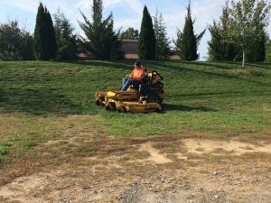 residential mowing